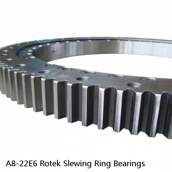 A8-22E6 Rotek Slewing Ring Bearings