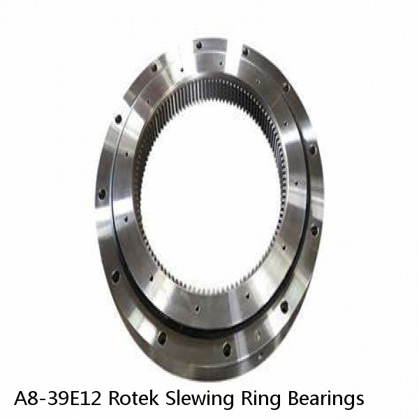 A8-39E12 Rotek Slewing Ring Bearings