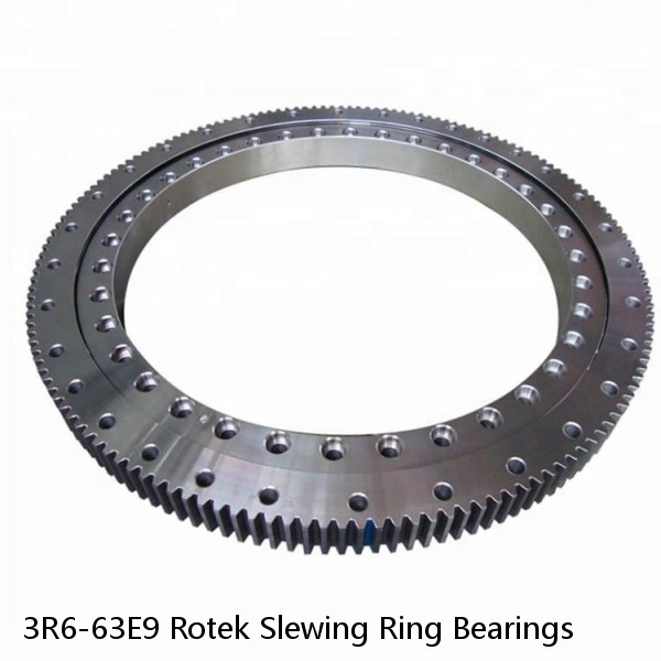 3R6-63E9 Rotek Slewing Ring Bearings