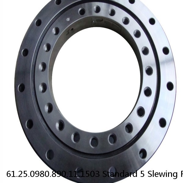61.25.0980.890.11.1503 Standard 5 Slewing Ring Bearings