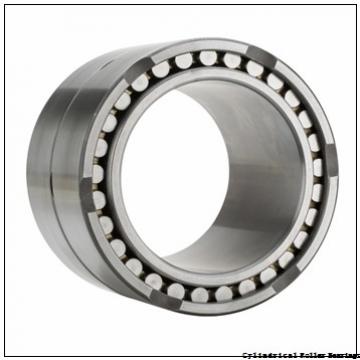 25 mm x 52 mm x 15 mm  NSK NU 205 M C3 Cylindrical Roller Bearings