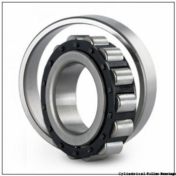 75 mm x 130 mm x 31 mm  NSK NU 2215 W Cylindrical Roller Bearings