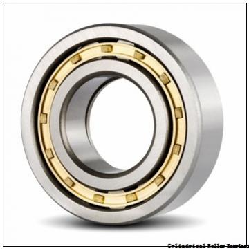 120 mm x 260 mm x 55 mm  NSK NU 324 W Cylindrical Roller Bearings