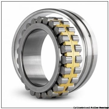105 mm x 190 mm x 36 mm  NSK NU 221 W C3 Cylindrical Roller Bearings