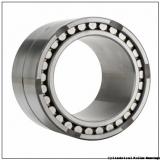 50 mm x 80 mm x 40 mm  INA SL185010 Cylindrical Roller Bearings