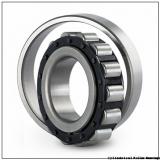 140 mm x 190 mm x 30 mm  INA SL182928 Cylindrical Roller Bearings