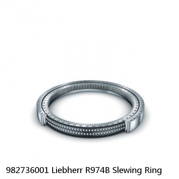 982736001 Liebherr R974B Slewing Ring #1 small image