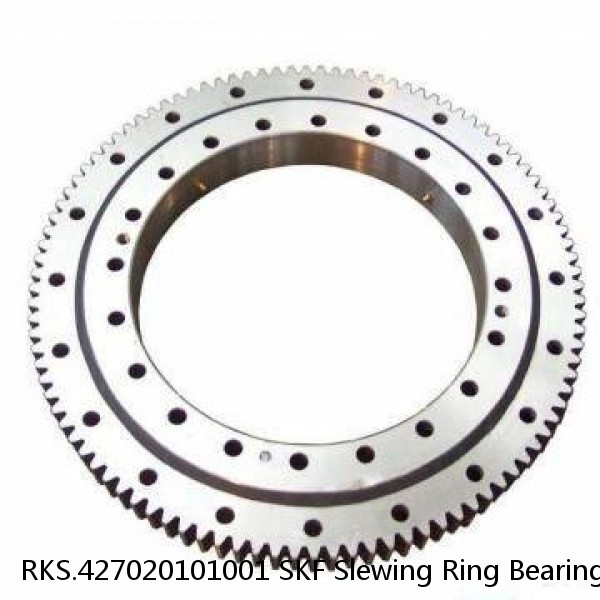 RKS.427020101001 SKF Slewing Ring Bearings #1 small image