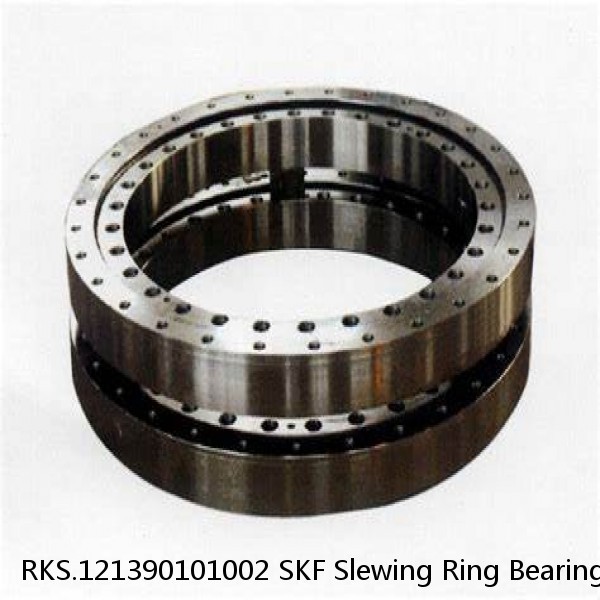 RKS.121390101002 SKF Slewing Ring Bearings #1 small image