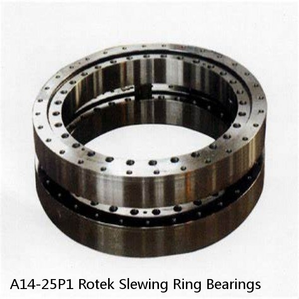 A14-25P1 Rotek Slewing Ring Bearings #1 small image
