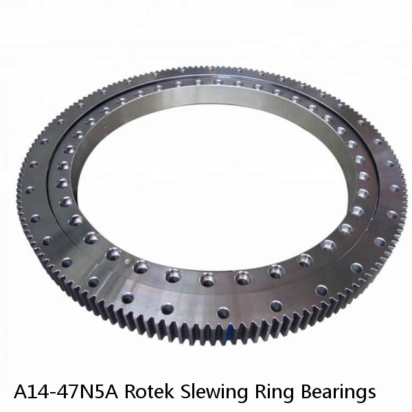A14-47N5A Rotek Slewing Ring Bearings #1 small image