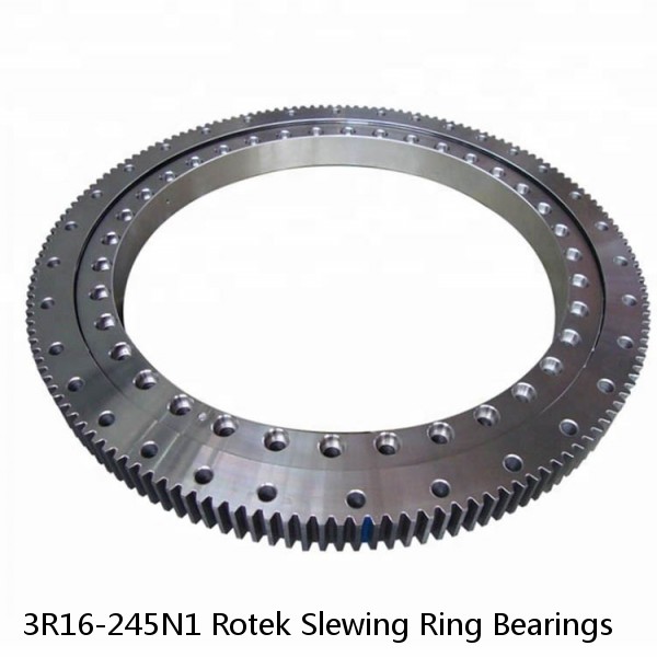 3R16-245N1 Rotek Slewing Ring Bearings #1 small image