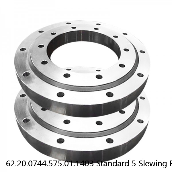 62.20.0744.575.01.1403 Standard 5 Slewing Ring Bearings #1 small image