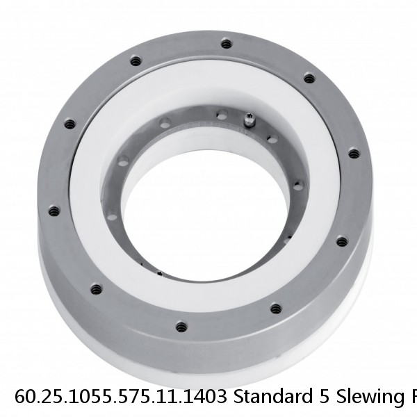 60.25.1055.575.11.1403 Standard 5 Slewing Ring Bearings #1 small image