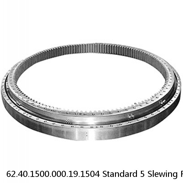 62.40.1500.000.19.1504 Standard 5 Slewing Ring Bearings #1 small image