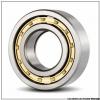 75 mm x 160 mm x 37 mm  NSK N 315 W Cylindrical Roller Bearings