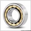105 mm x 190 mm x 36 mm  NSK NU 221 W C3 Cylindrical Roller Bearings