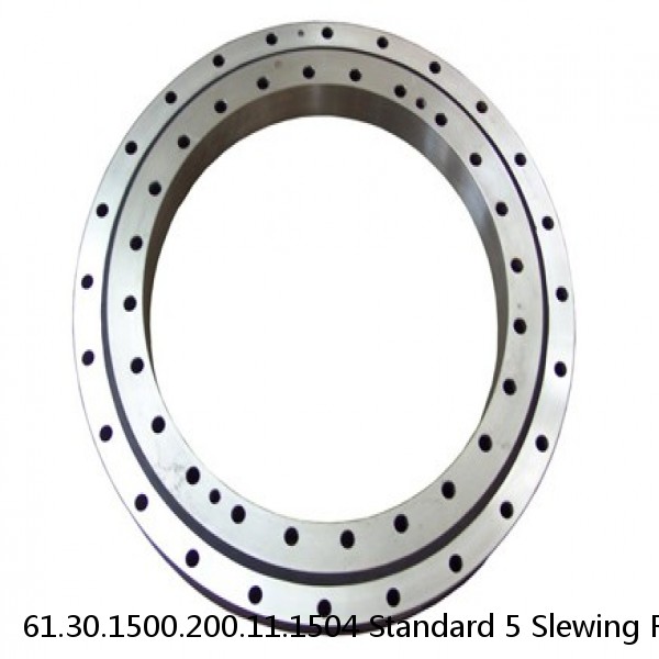 61.30.1500.200.11.1504 Standard 5 Slewing Ring Bearings #1 image