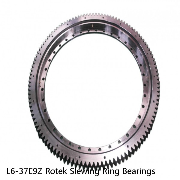 L6-37E9Z Rotek Slewing Ring Bearings #1 image