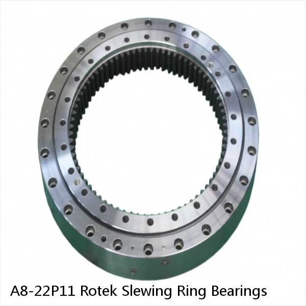 A8-22P11 Rotek Slewing Ring Bearings #1 image