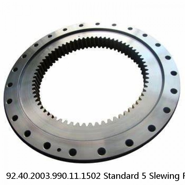 92.40.2003.990.11.1502 Standard 5 Slewing Ring Bearings #1 image