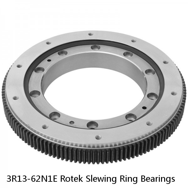 3R13-62N1E Rotek Slewing Ring Bearings #1 image
