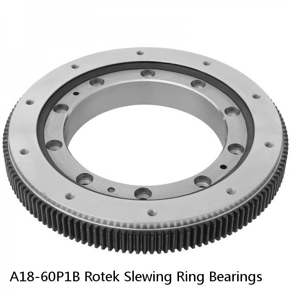 A18-60P1B Rotek Slewing Ring Bearings #1 image