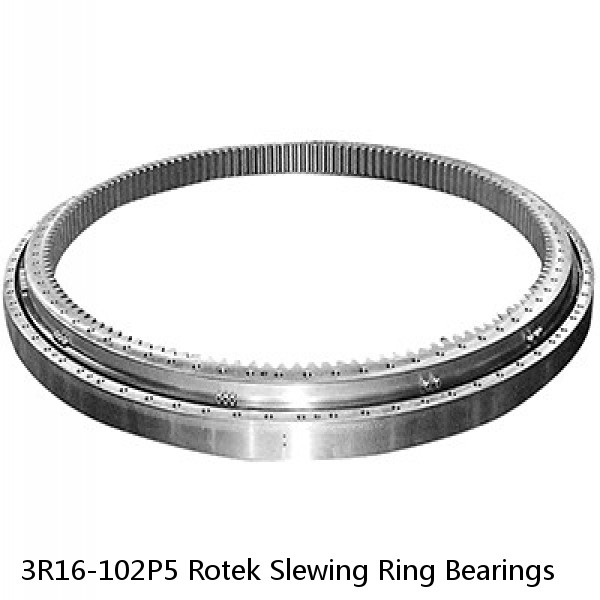3R16-102P5 Rotek Slewing Ring Bearings #1 image