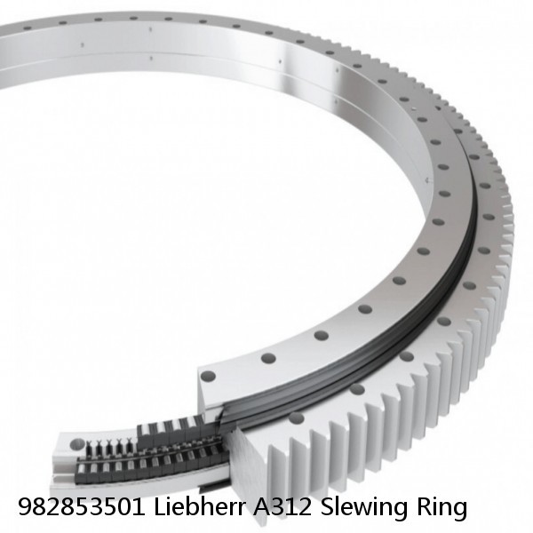 982853501 Liebherr A312 Slewing Ring #1 image