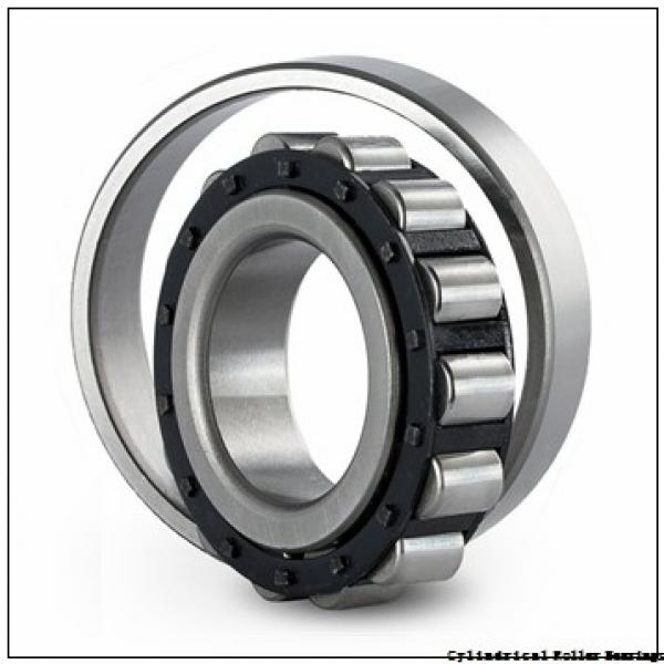45 mm x 75 mm x 16 mm  NSK NU 1009 M Cylindrical Roller Bearings #2 image